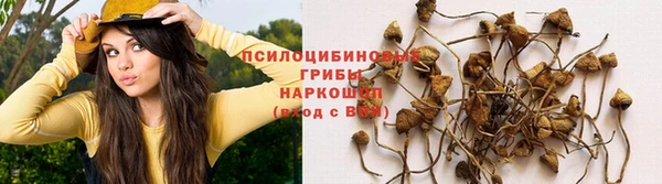 скорость Зеленокумск