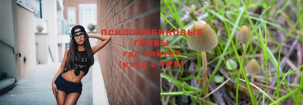 spice Зеленодольск