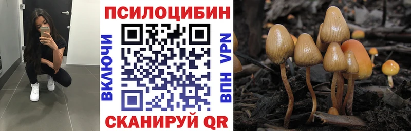 Галлюциногенные грибы прущие грибы  купить  цена  Щёлково 